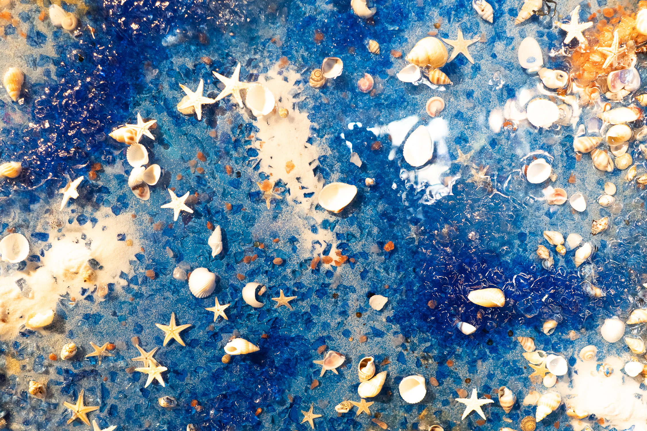 Blue beach scene with starfish and seashells scattered on wet sand surface.